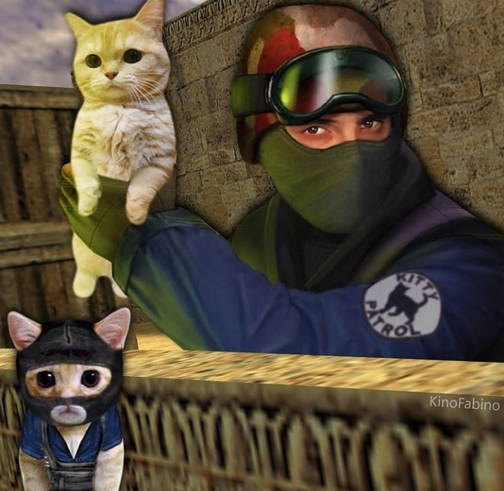cs cat :3c